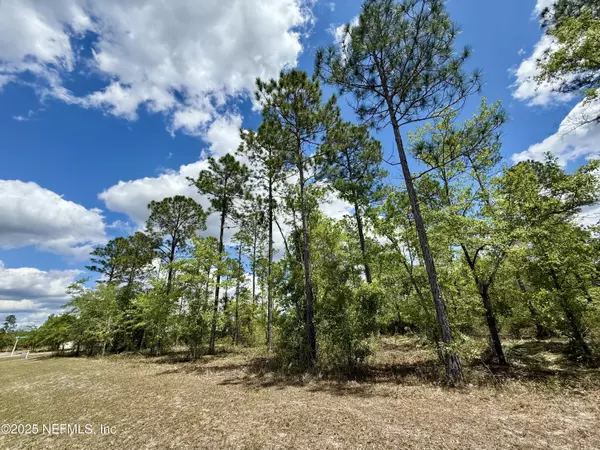 Bryceville, FL 32009,16330 DEACON DR