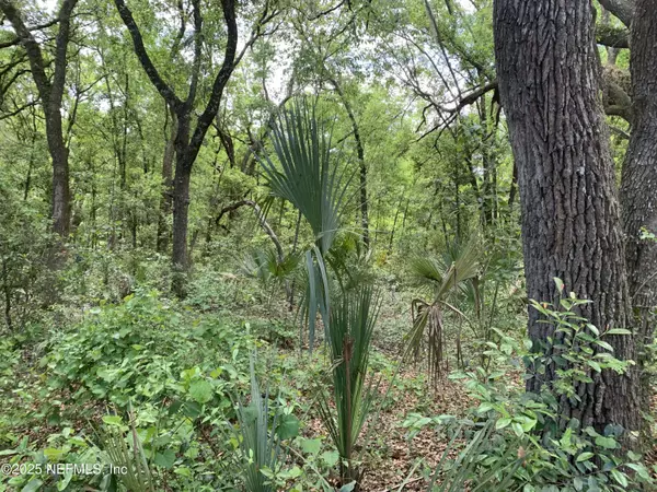 Interlachen, FL 32148,157 OAK CIR