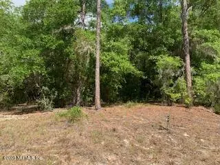 Interlachen, FL 32148,117 CENTRAL AVE