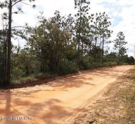 Marianna, FL 32246,TBD PERSIMMON LN