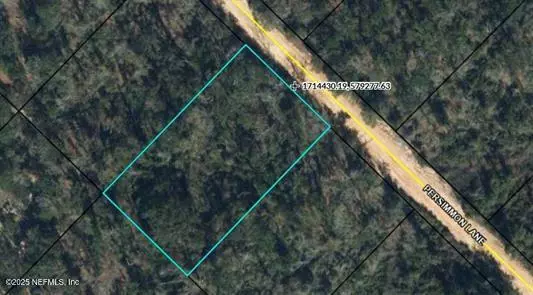 Marianna, FL 32246,TBD PERSIMMON LN