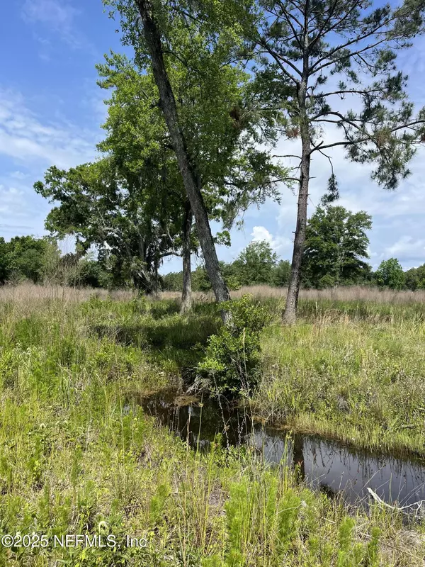 Green Cove Springs, FL 32043,5950 SWEET MOODY RD