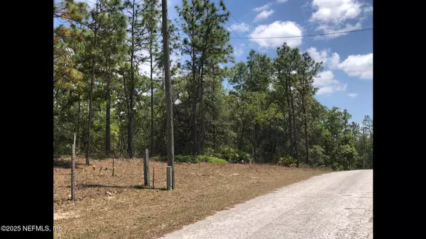 Webster, FL 33597,LOT 13 COLONEL AVE