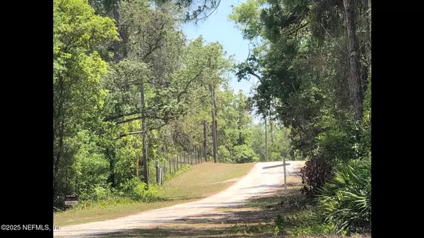 Webster, FL 33597,LOT 13 COLONEL AVE