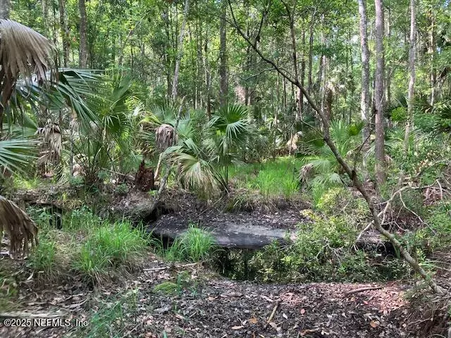 Interlachen, FL 32148,00 LITTLE BRANCH TRAIL