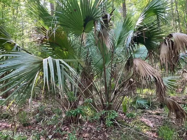 Interlachen, FL 32148,00 LITTLE BRANCH TRAIL