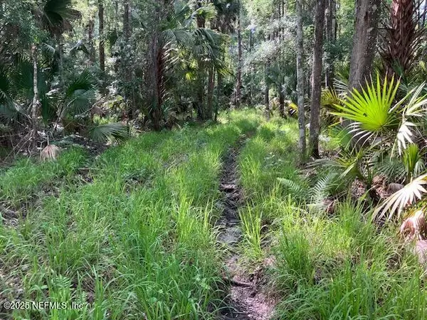 Interlachen, FL 32148,000 LITTLE BRANCH TRAIL