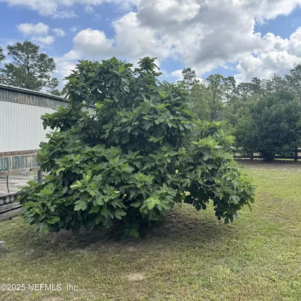 Interlachen, FL 32148,2000 FERN AVE