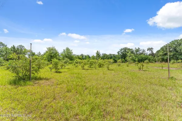 Middleburg, FL 32068,2995 THUNDER RD