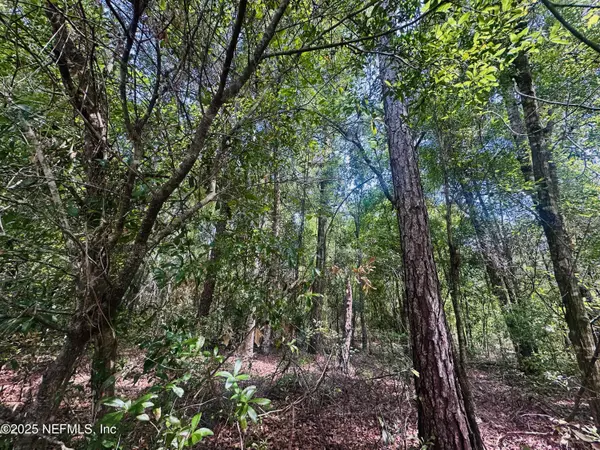 Keystone Heights, FL 32656,5423 LAREDO ST