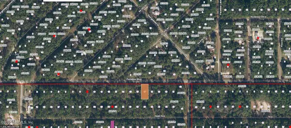 Georgetown, FL 32139,233 PARADISE BLVD