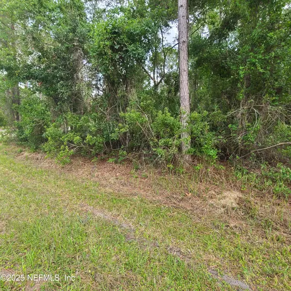 Georgetown, FL 32139,233 PARADISE BLVD