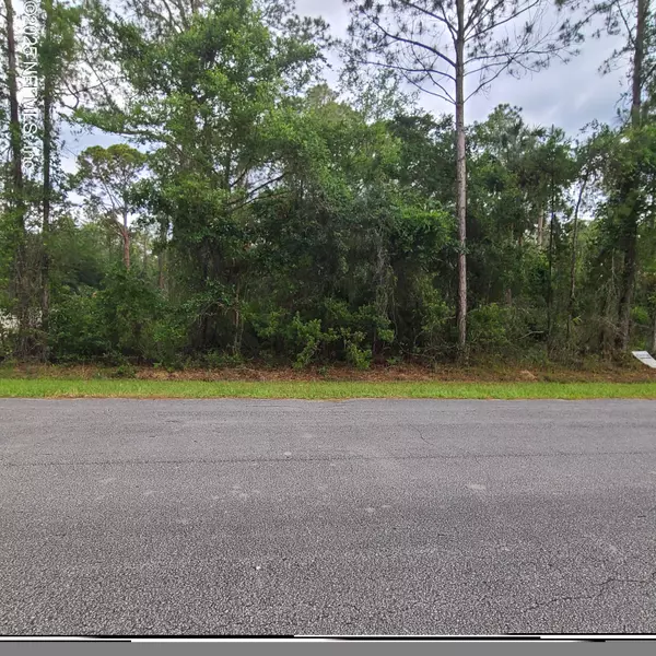233 PARADISE BLVD, Georgetown, FL 32139