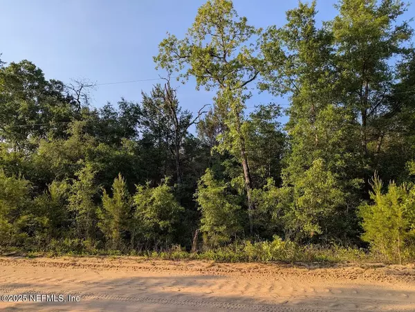 Interlachen, FL 32148,0440-0090 ADRIAN AVE