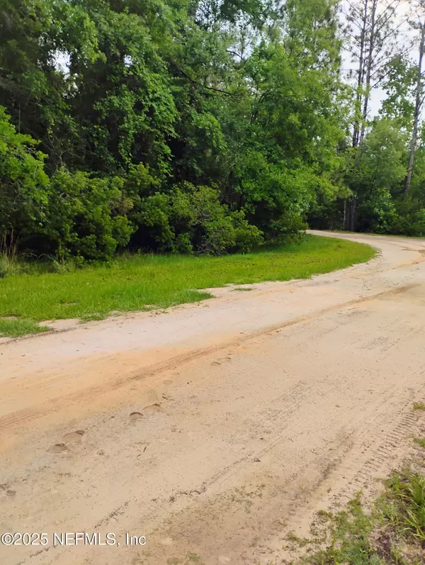 Georgetown, FL 32139,228 ATKINS RD