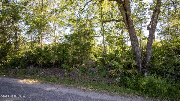 Starke, FL 32091,00 SE 139TH (PARCEL 7) ST