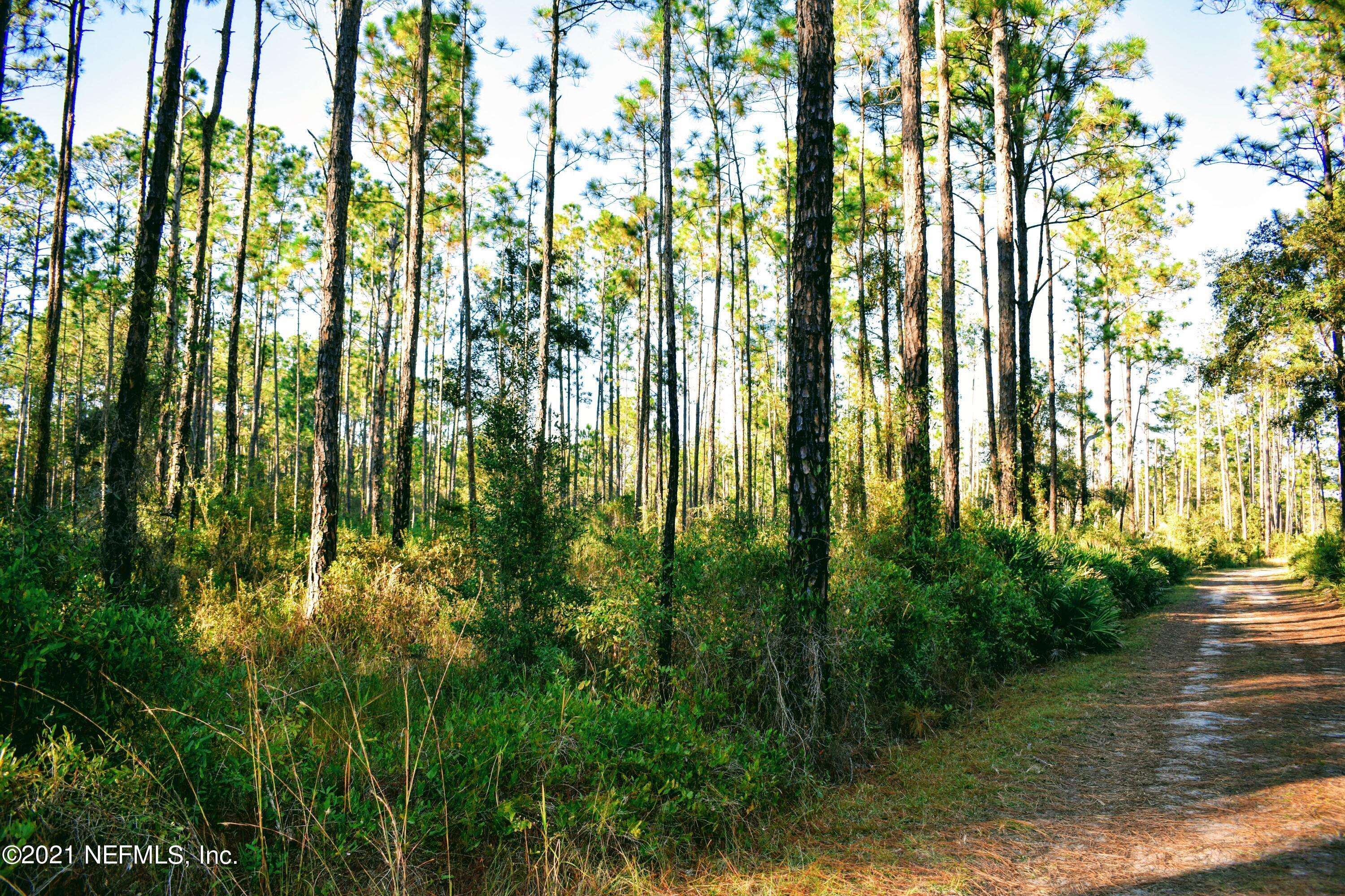 Palatka, FL 32177,00 E EAST BANNERVILLE RD