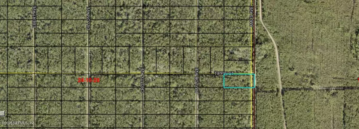 Hastings, FL 32145,0 AMOS AVE