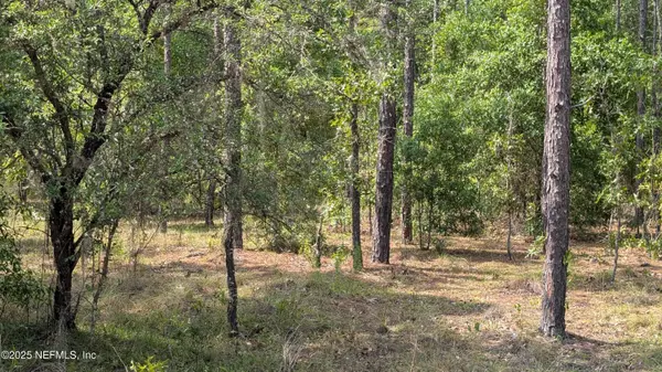 Hawthorne, FL 32640,0 E WASHINGTON ST