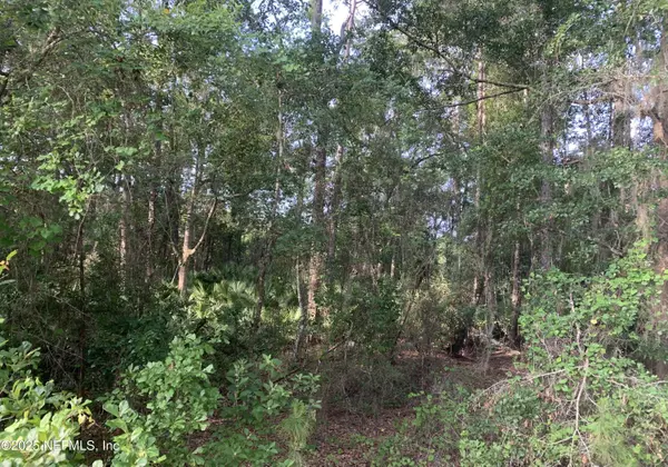 Interlachen, FL 32148,000 APPALOOSA DR