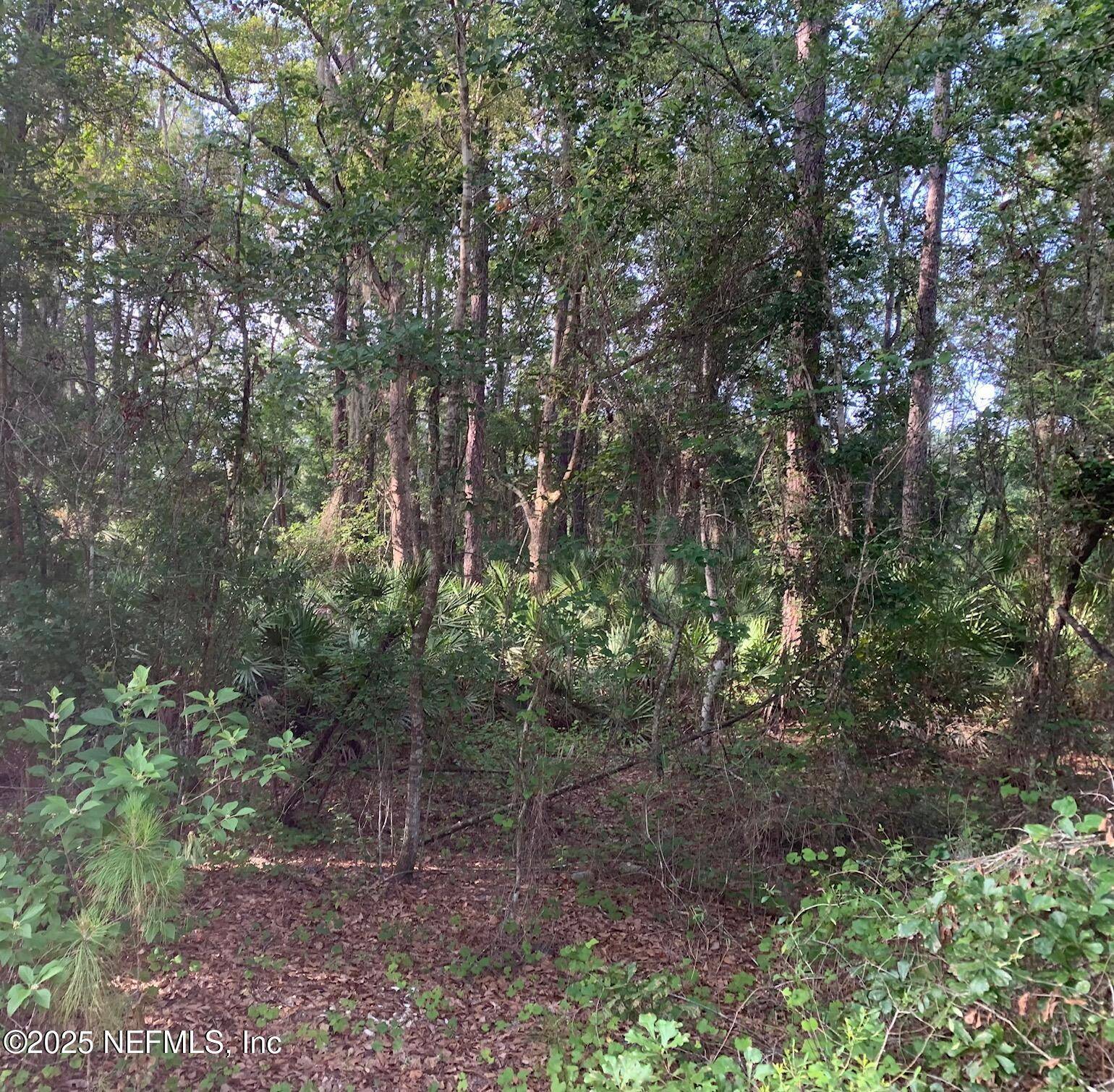 Florahome, FL 32140,1230 CORAL FARMS RD