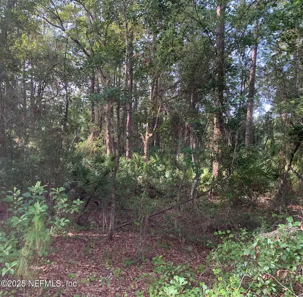 Florahome, FL 32140,1230 CORAL FARMS RD