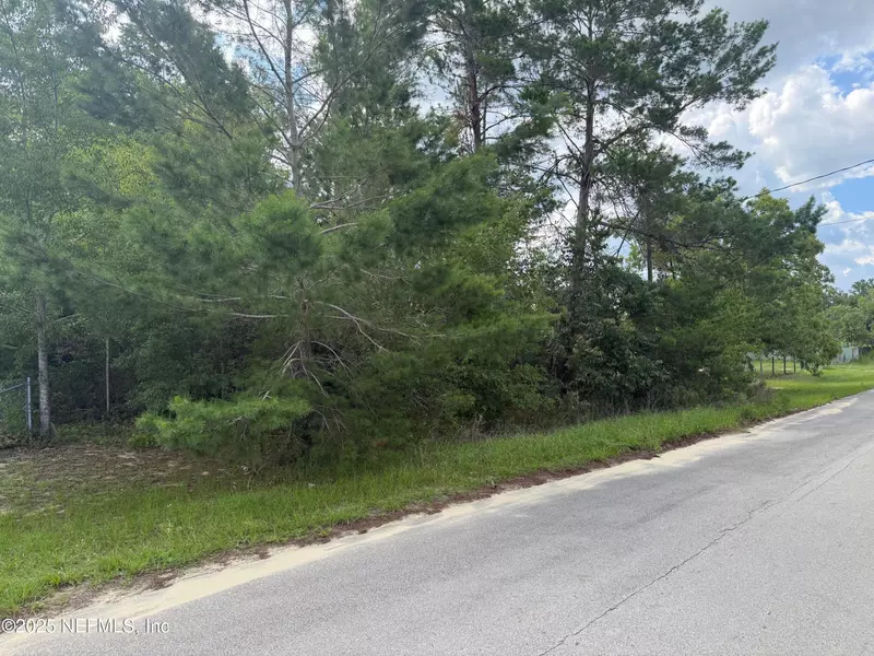 121 ISTANBUL ST, Interlachen, FL 32148