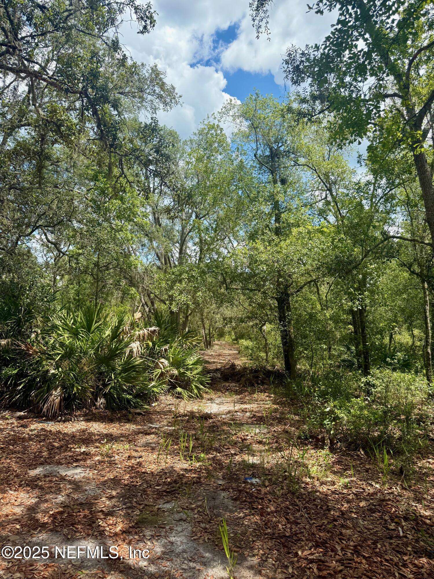Keystone Heights, FL 32656,0 INDIAN TRL
