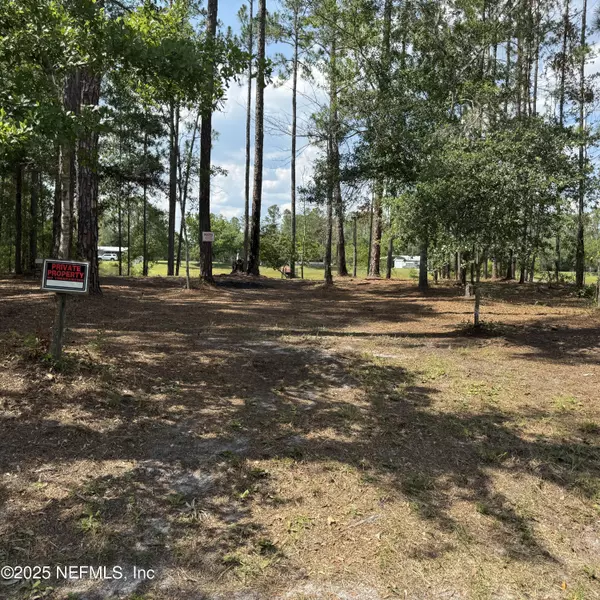 Interlachen, FL 32148,0 WALLACE ST