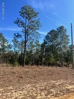 Interlachen, FL 32148,204 FLAMINGO DR