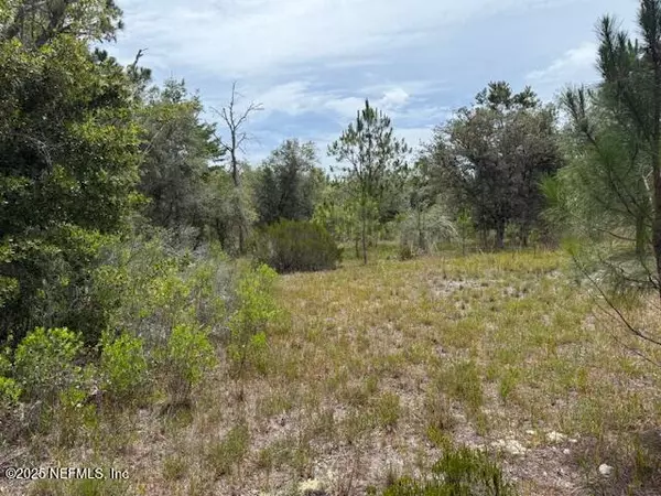Interlachen, FL 32148,XXX S FRANCIS ST