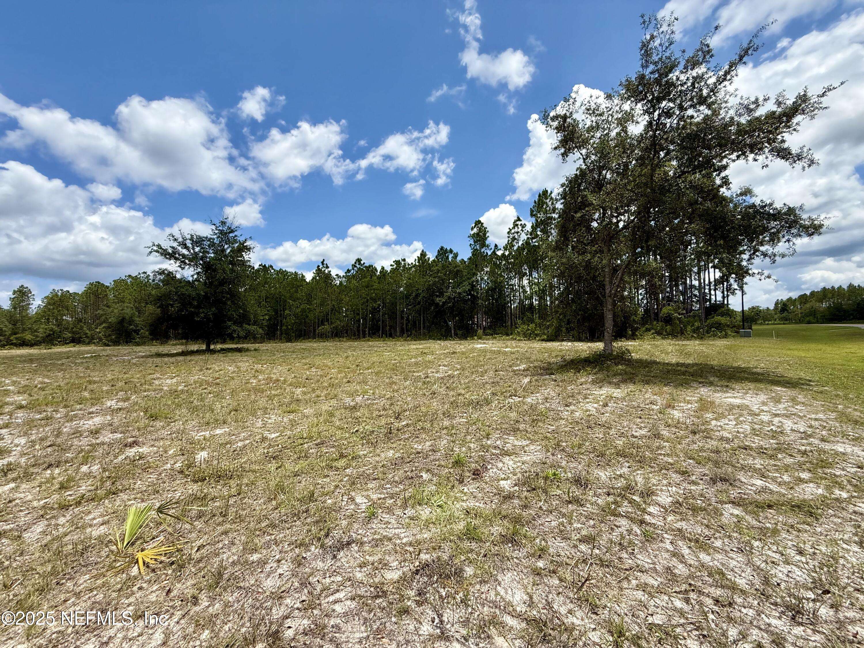 Bryceville, FL 32009,16310 DEACON DR