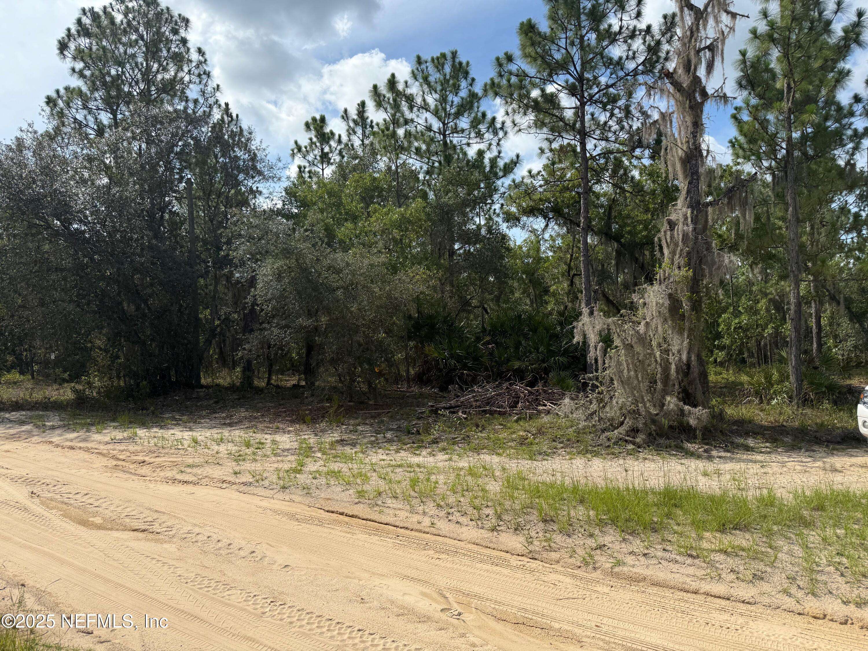 Interlachen, FL 32148,151 LONG BRANCH TRL