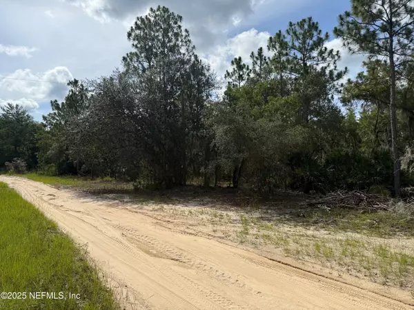 Interlachen, FL 32148,151 LONG BRANCH TRL