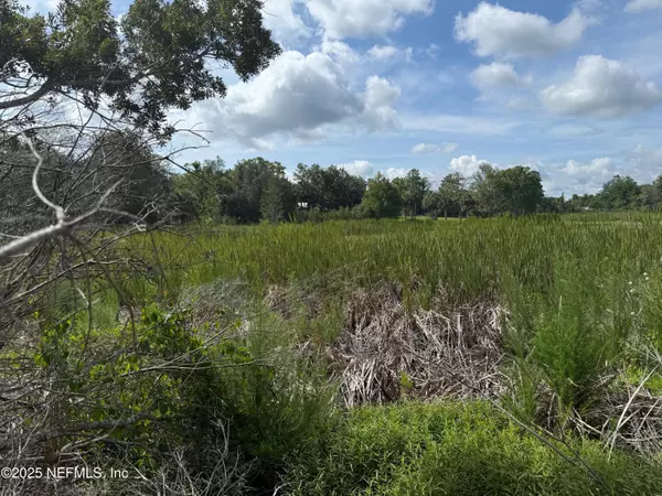 Interlachen, FL 32148,151 LONG BRANCH TRL