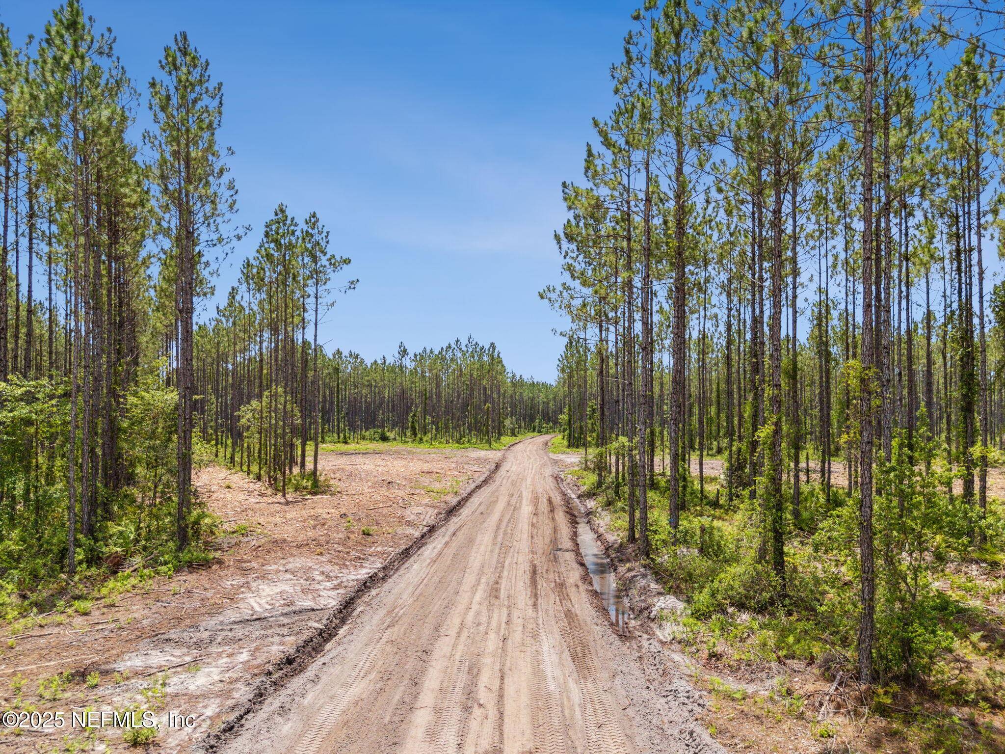 Hilliard, FL 32046,0 LAKE HAMPTON RD