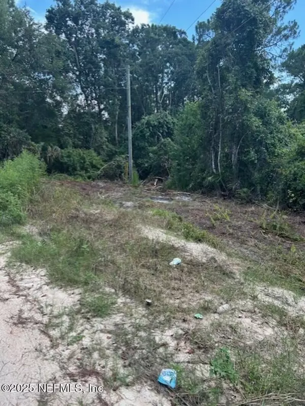 Satsuma, FL 32189,161 POSSUM WALK RD