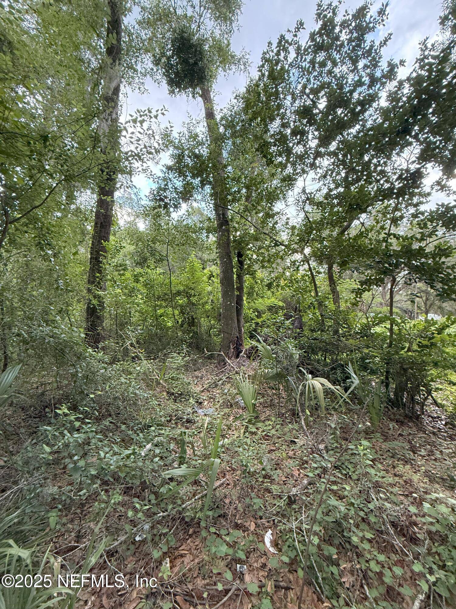 Palatka, FL 32177,4117 SILVER LAKE DR