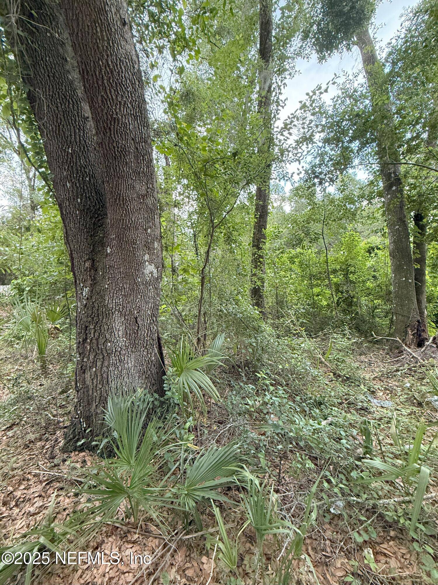 4117 SILVER LAKE DR, Palatka, FL 32177