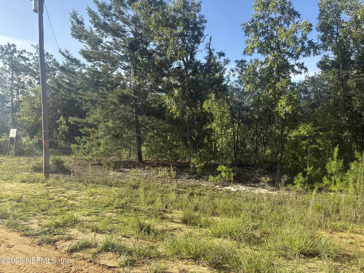 Interlachen, FL 32148,209 ACACIA DR