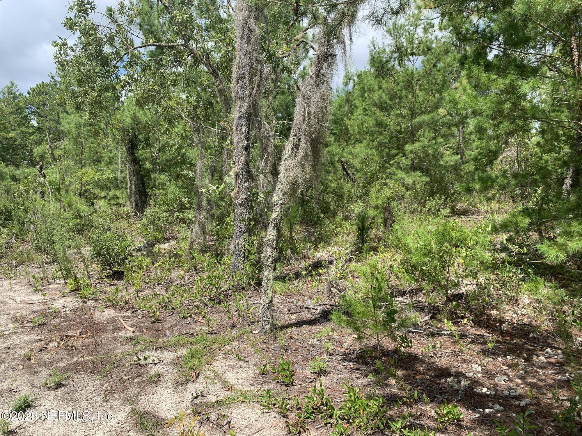 Interlachen, FL 32148,403 LILY TRL