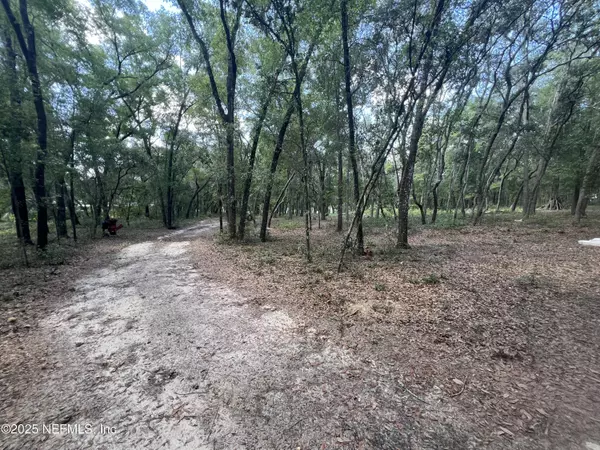 Hawthorne, FL 32640,427 S SOUTH CAROLINA ST
