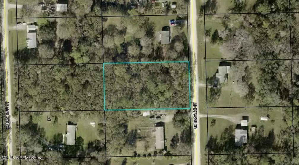 Bunnell, FL 32110,1166 SHERWOOD ST