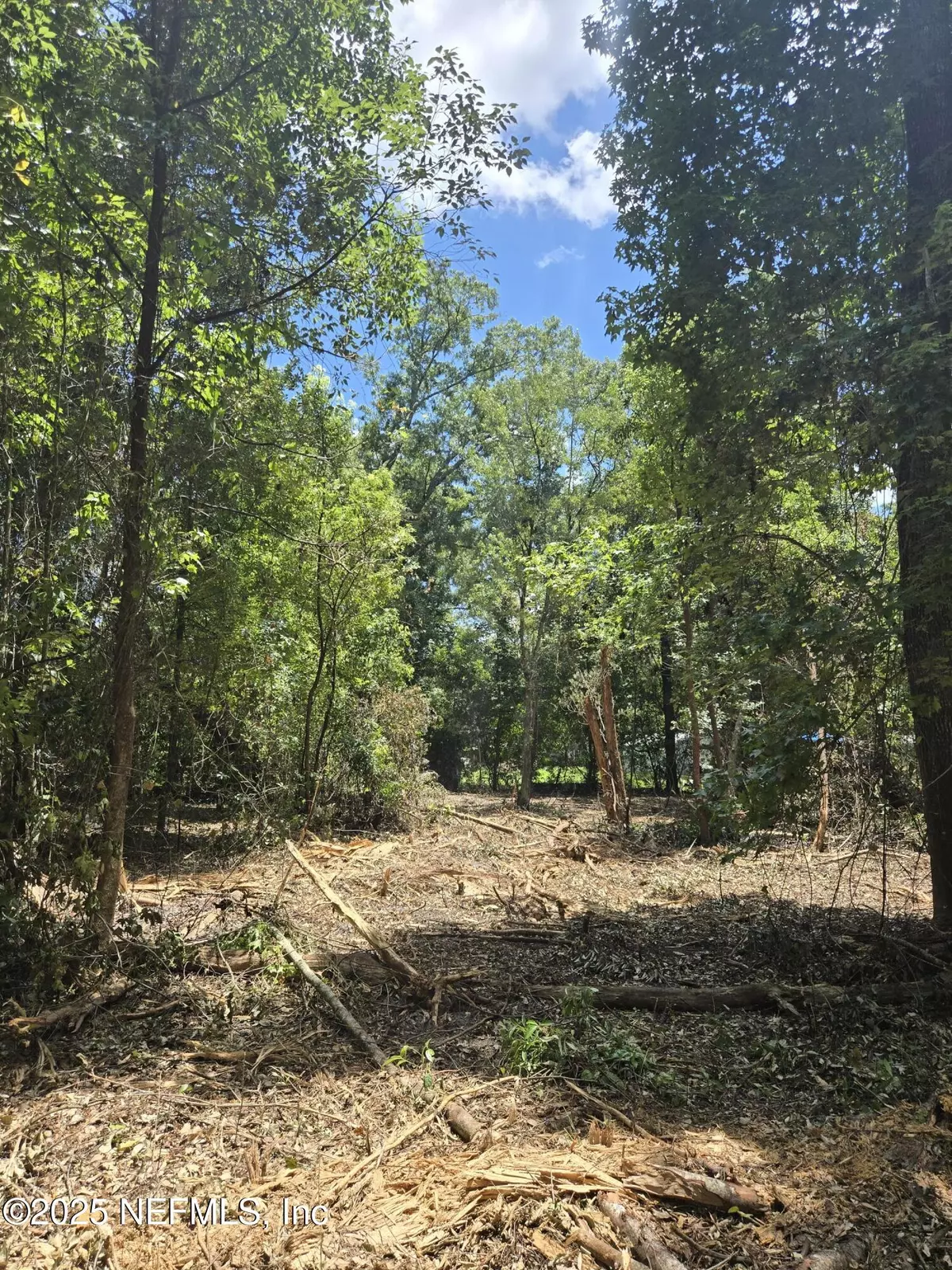 Jacksonville, FL 32234,6099 TAYLOR RD