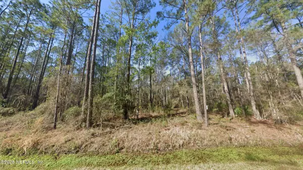 10675 DELGADO AVE, Hastings, FL 32145
