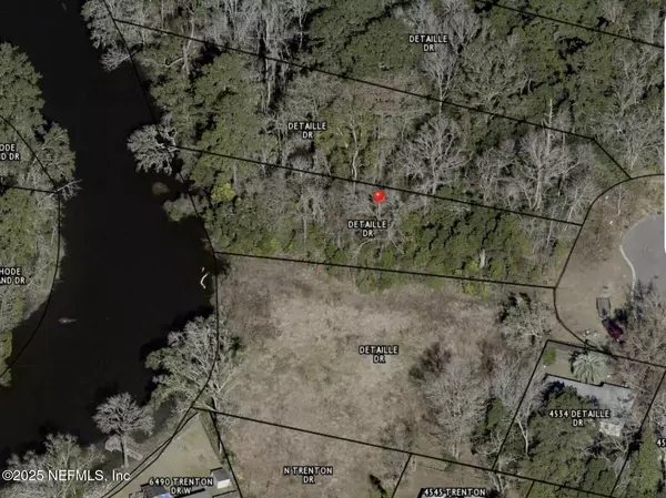 Jacksonville, FL 32209,0 DETAILLE DR