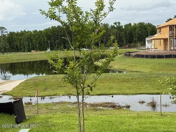 Jacksonville, FL 32218,185 BRAZIL NUT CIR #238