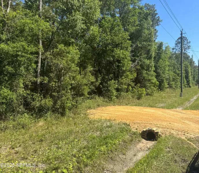 10040 YEAGER AVE, Hastings, FL 32145