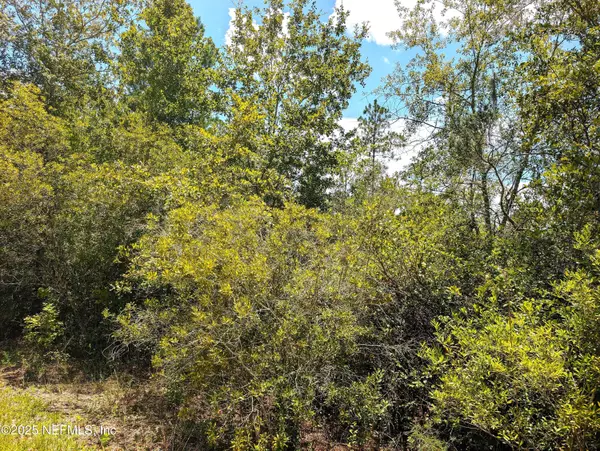 0 SE 92ND ST, Starke, FL 32091