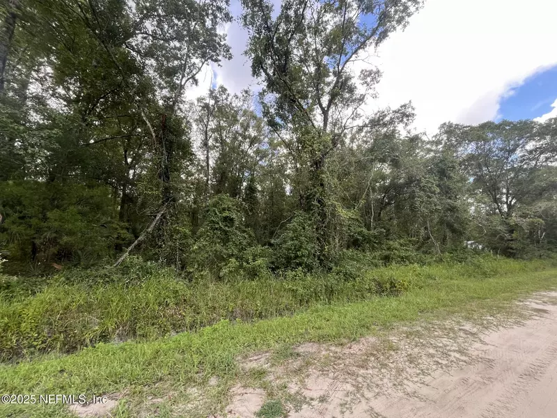 4566 DIVISION ST, Hastings, FL 32145